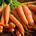 Organic Carrots