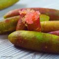 Microcitrus - Finger Lime