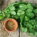 Organic Coriander