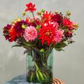 Dahlias for bouquets