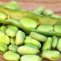 Broad Beans