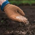 Reproducible seeds