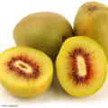 Yellow Kiwi 