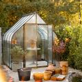 Plantes d'orangerie et Jardin d'hiver