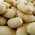 Potatoes for mash