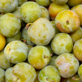 Greengage Plums