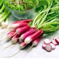 Radishes