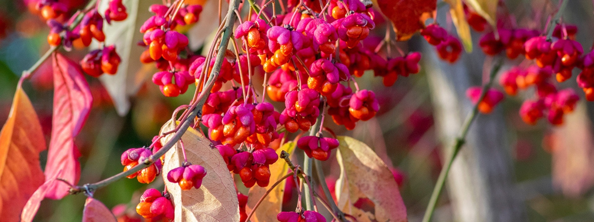 <i>It's planting</i> SEASON