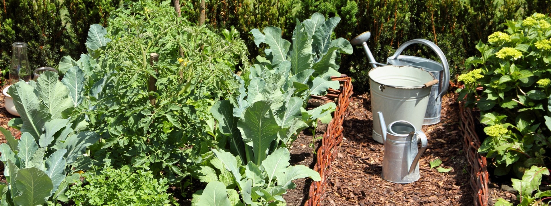 Vegetable garden A to Z