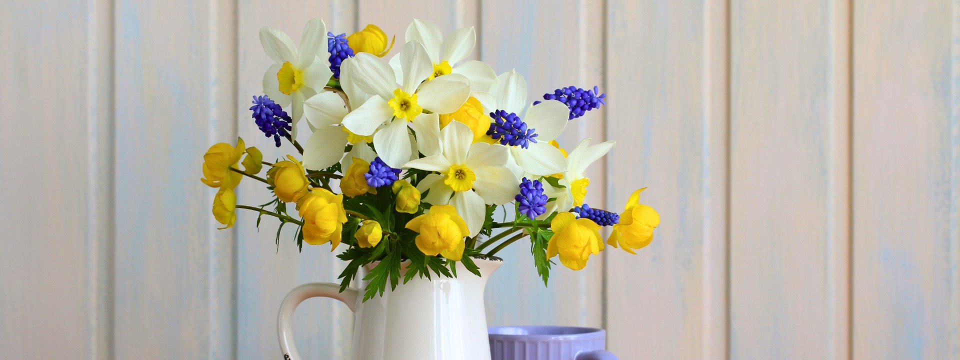 <i>Spring</i> FLOWERING BULBS
