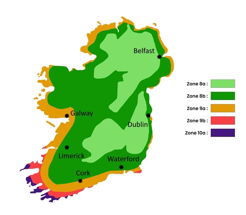 Hardiness map Hardiness map